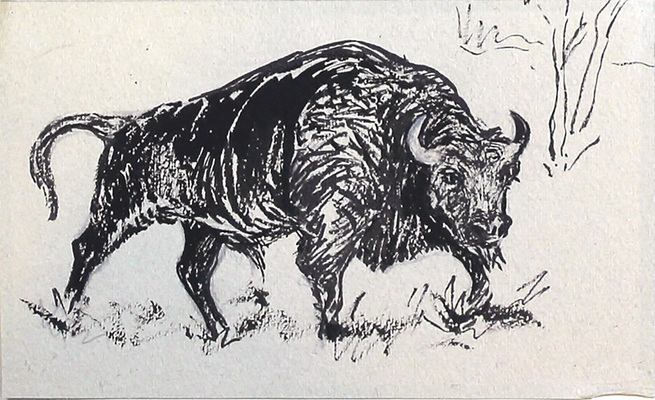 Глебов Фёдор Петрович. Лот из двух иллюстраций «Лось» и «Бык», закрепленных на одном паспарту 